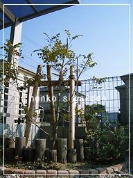 2011_0401_153344-CIMG7817 2.jpg