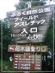 2011_0430_111157-CIMG8008 2.jpg