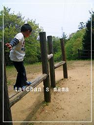 2011_0430_111333-CIMG8011 2.jpg