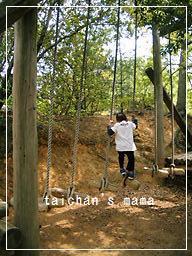 2011_0430_111517-CIMG8015 2.jpg