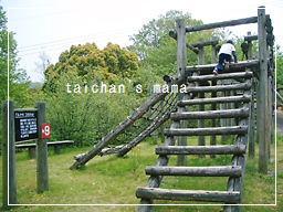 2011_0430_113624-CIMG8030 2.jpg