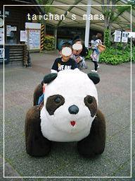 2011_0503_122752-CIMG8087 2.jpg