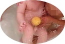 2012_1221_195007-CIMG7667-crop.JPG