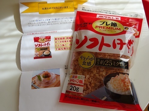 DSC00533 2.jpg