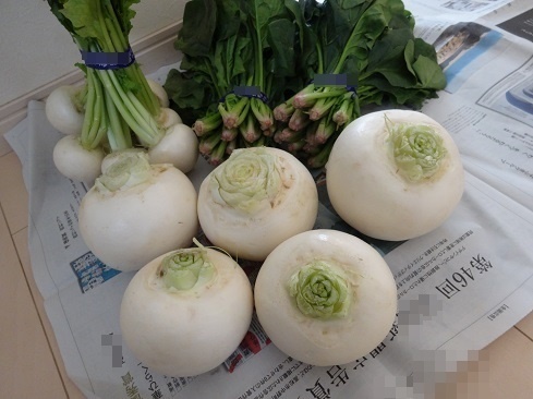 DSC01024 2.jpg