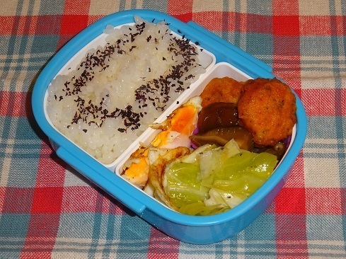 DSC04090.jpg 2.jpg