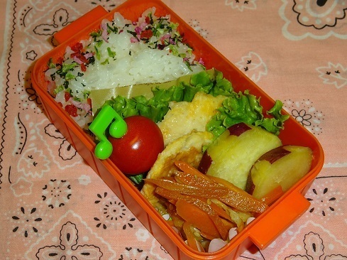 DSC07038.jpg 2.jpg