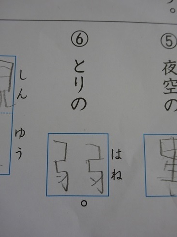DSC08886.jpg 2.jpg