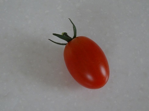DSC09427 2.jpg