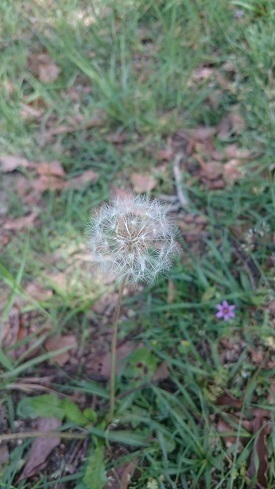 DSC_0050.jpg 2.jpg