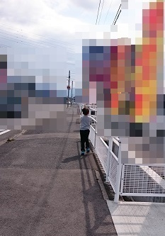 DSC_4329.jpg 2-crop.jpg