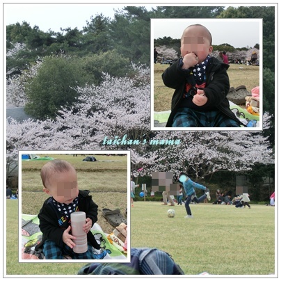 お花見 サッカー.jpg