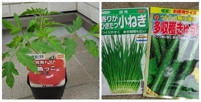 トマト&きゅうり.jpg