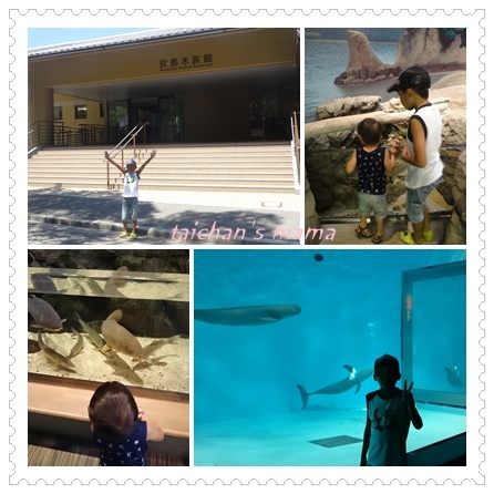 宮島水族館.jpg