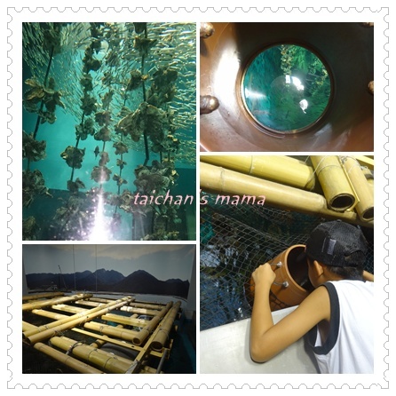 宮島水族館 2.jpg