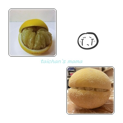 文旦カチカチ.jpg