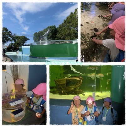水族館.jpg