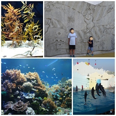 須磨海浜水族園2.jpg