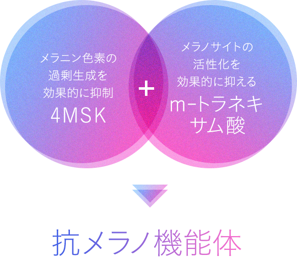 img_02_01.png
