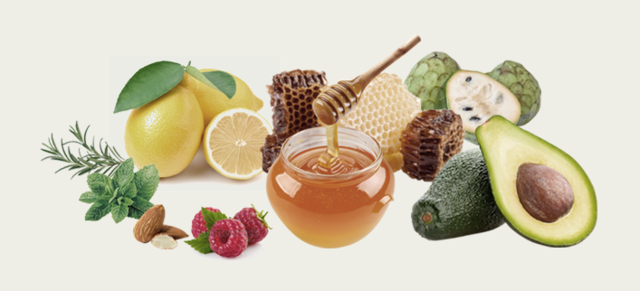 ingredients_img04.png