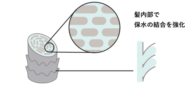 method_illust_2.png
